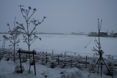 2010.04.17雪の朝1.JPG