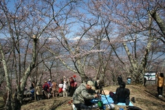 2010.04.25、光城山の桜４.JPG