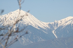 2010.04.25、光城山の桜５.JPG