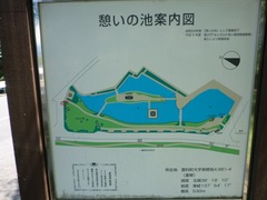 2011.8.29.湧水公園10.JPG