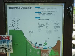 2011.8.29.湧水公園4.JPG