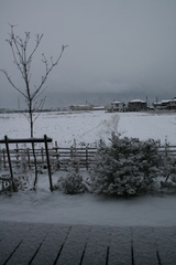 雪の大晦日2009.JPG